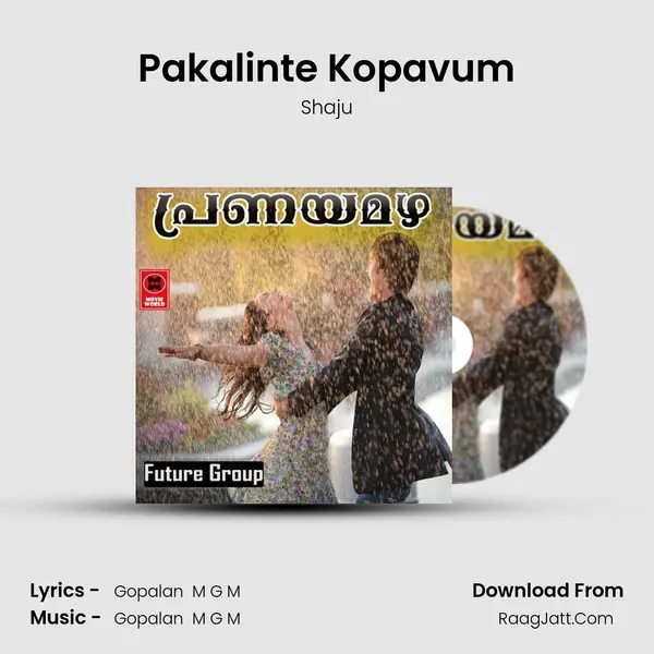 Pakalinte Kopavum Song mp3 | Shaju