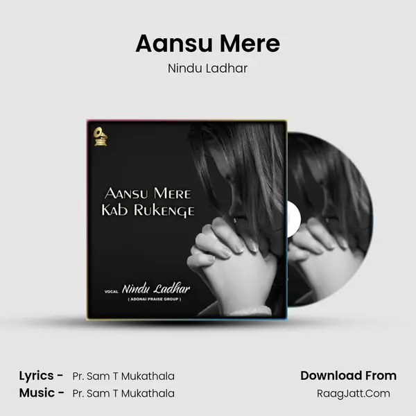 Aansu Mere Song mp3 | Nindu Ladhar