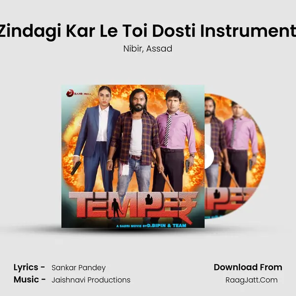 E Zindagi Kar Le Toi Dosti Instrumental Song mp3 | Nibir