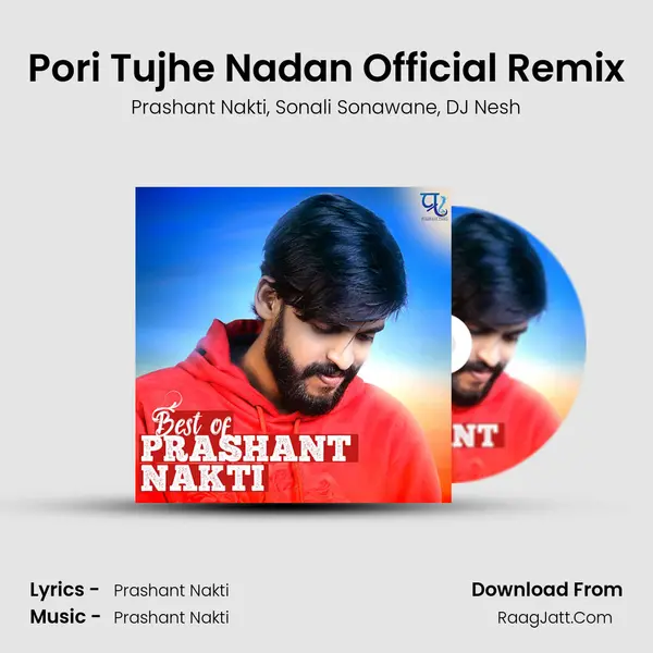 Pori Tujhe Nadan Official Remix mp3 song