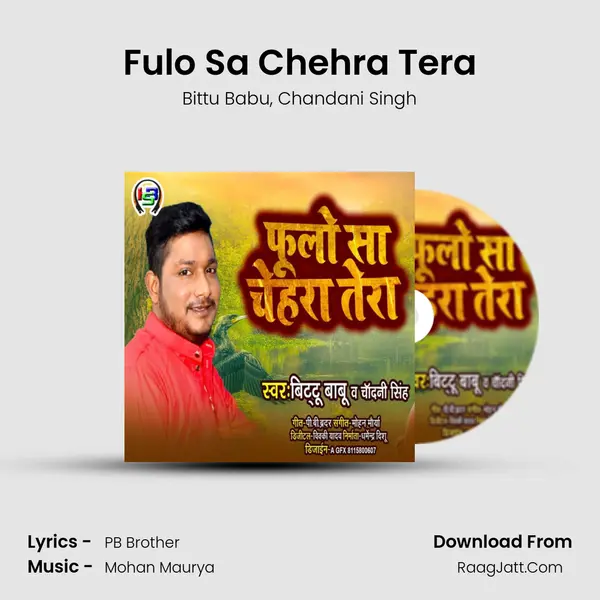 Fulo Sa Chehra Tera mp3 song