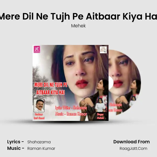 Mere Dil Ne Tujh Pe Aitbaar Kiya Hai mp3 song