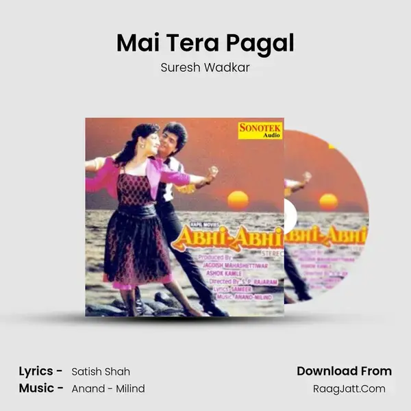 Mai Tera Pagal mp3 song