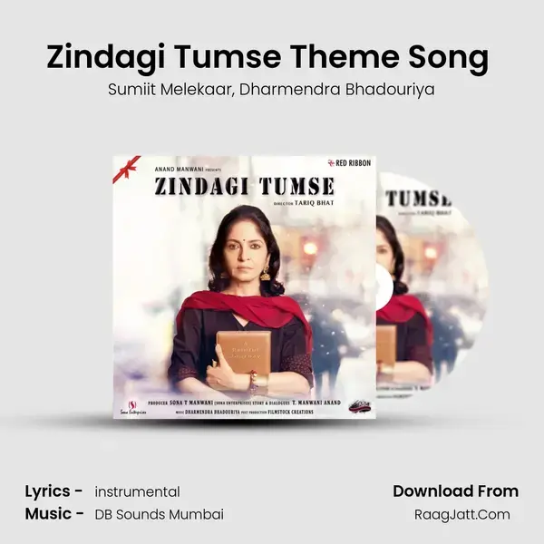 Zindagi Tumse Theme Song (Instrumental) Song mp3 | Sumiit Melekaar