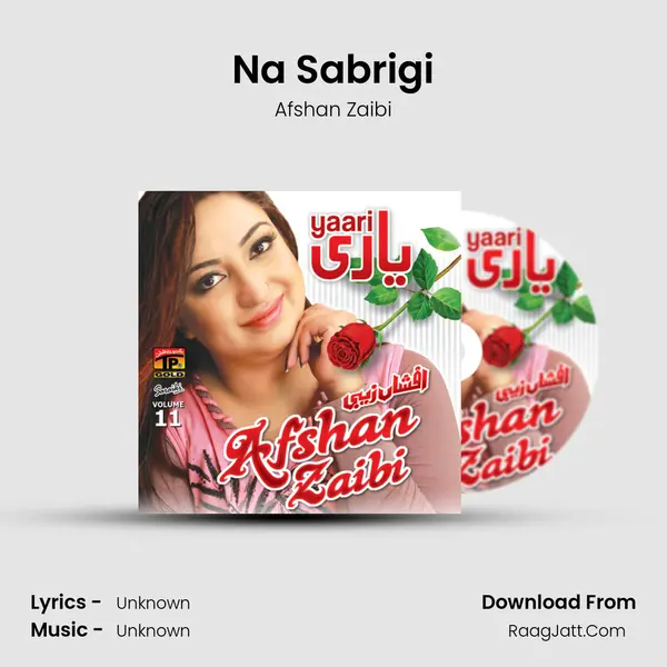 Na Sabrigi Song mp3 | Afshan Zaibi