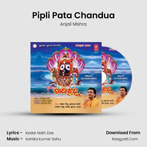 Pipli Pata Chandua Song mp3 | Anjali Mishra