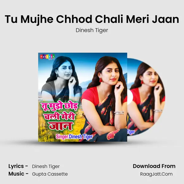 Tu Mujhe Chhod Chali Meri Jaan mp3 song