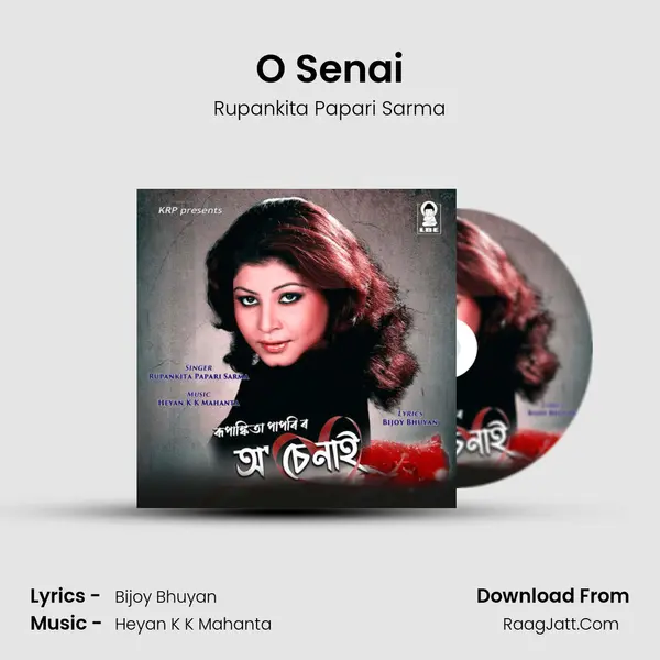 O Senai mp3 song