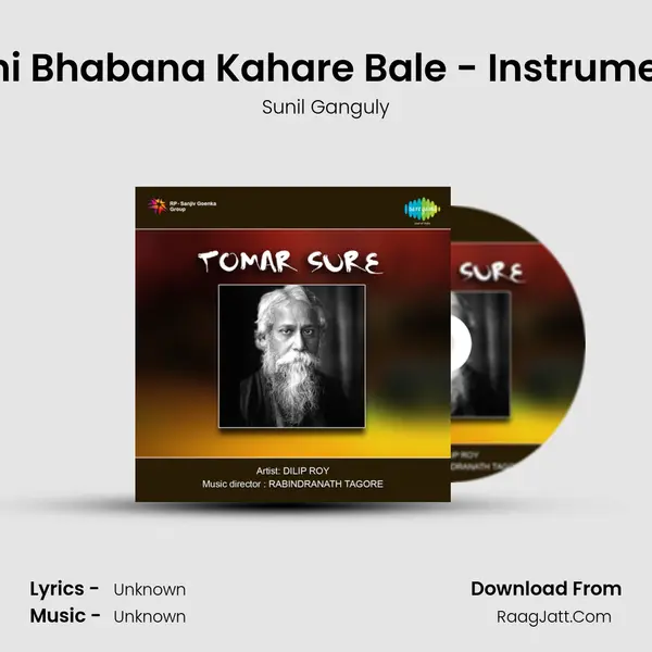 Sakhi Bhabana Kahare Bale - Instrumental Song mp3 | Sunil Ganguly