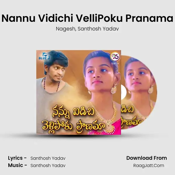 Nannu Vidichi VelliPoku Pranama mp3 song