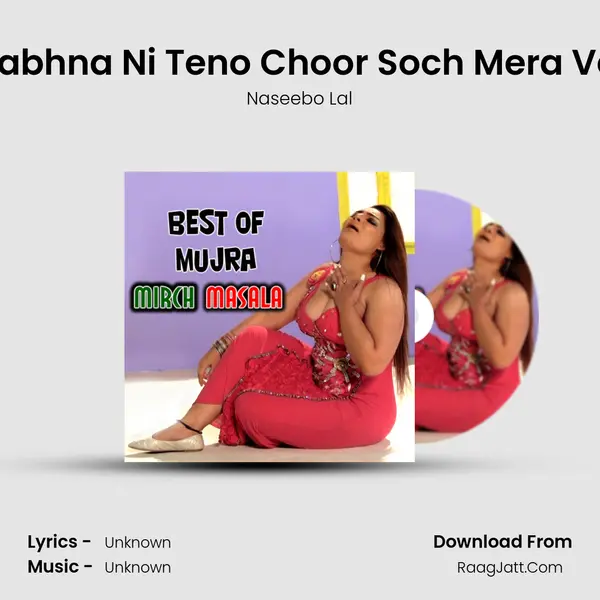 Labhna Ni Teno Choor Soch Mera Ve mp3 song