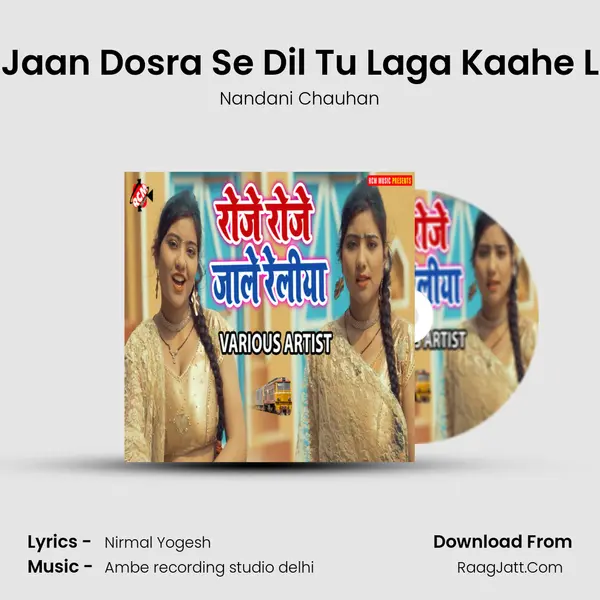 Ae Jaan Dosra Se Dil Tu Laga Kaahe Lela Song mp3 | Nandani Chauhan