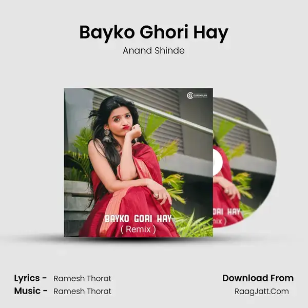 Bayko Ghori Hay (Remix) - Anand Shinde