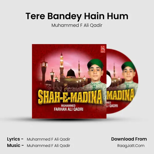 Tere Bandey Hain Hum Song mp3 | Muhammed F Ali Qadir