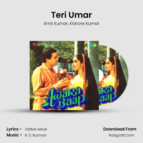 Teri Umar Song mp3 | Amit Kumar