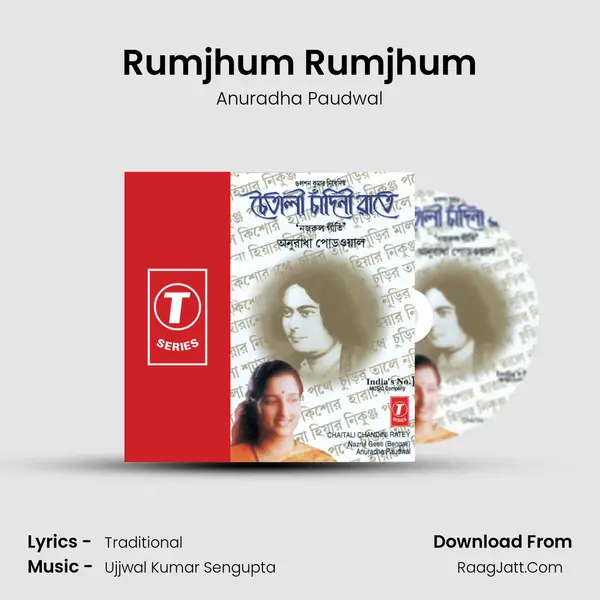 Rumjhum Rumjhum Song mp3 | Anuradha Paudwal