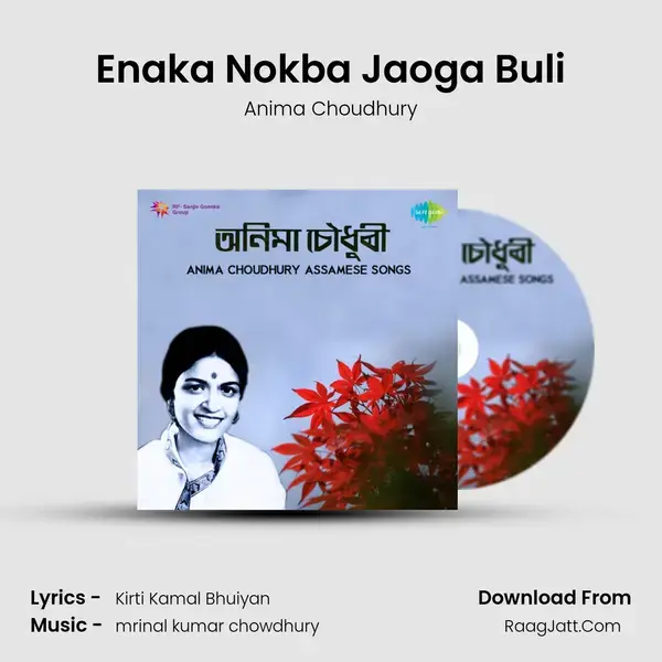 Enaka Nokba Jaoga Buli mp3 song