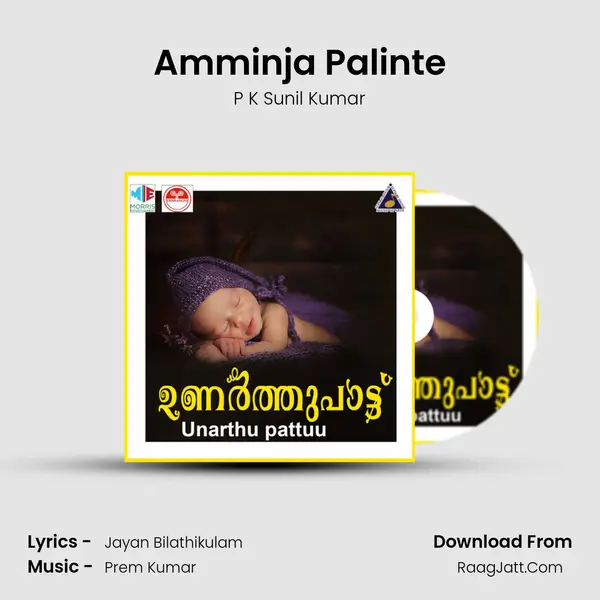 Amminja Palinte Song mp3 | P K Sunil Kumar