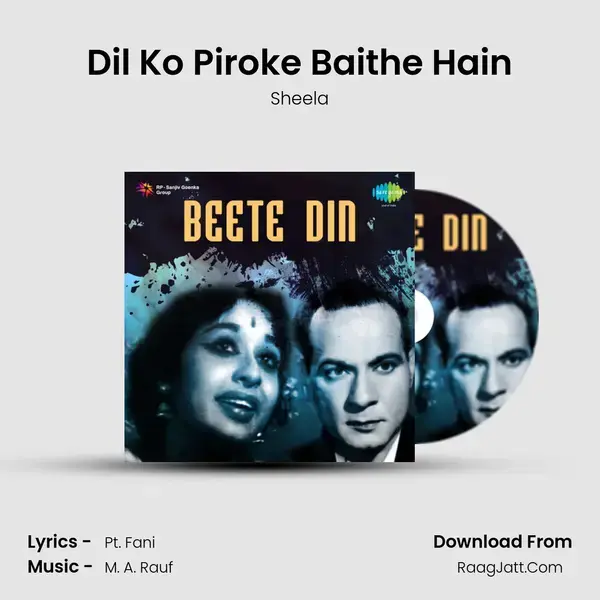 Dil Ko Piroke Baithe Hain mp3 song