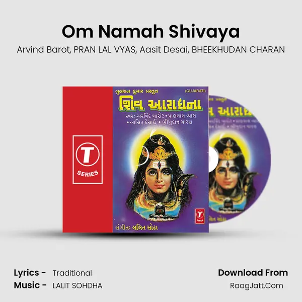 Om Namah Shivaya(Dhoon) mp3 song