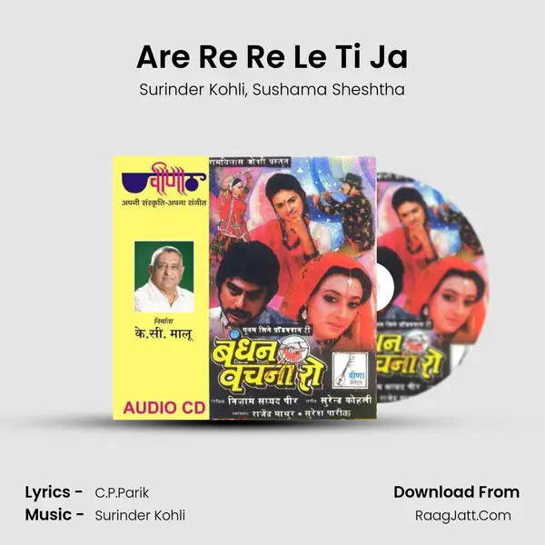 Are Re Re Le Ti Ja Song mp3 | Surinder Kohli