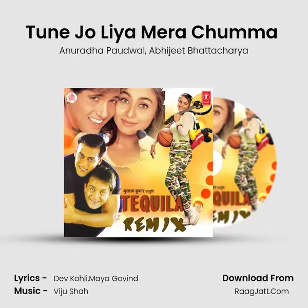 Tune Jo Liya Mera Chumma (Remix) Song mp3 | Anuradha Paudwal