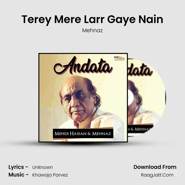 Terey Mere Larr Gaye Nain Song mp3 | Mehnaz