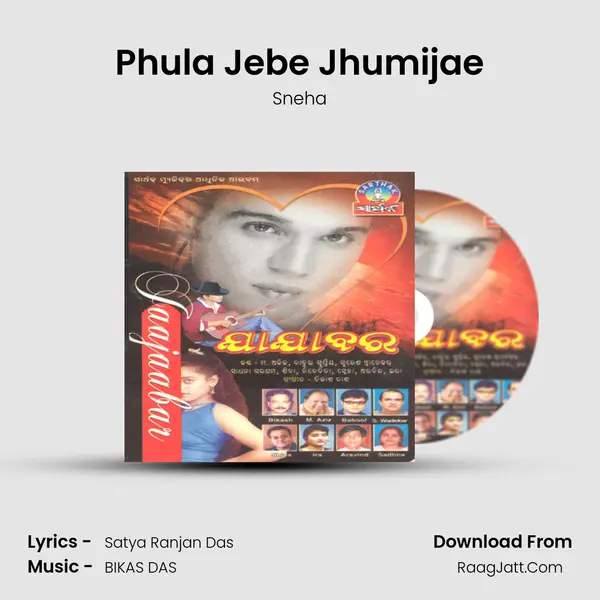 Phula Jebe Jhumijae Song mp3 | Sneha