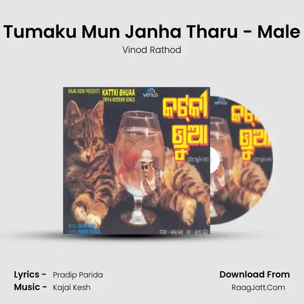 Tumaku Mun Janha Tharu - Male Song mp3 | Vinod Rathod