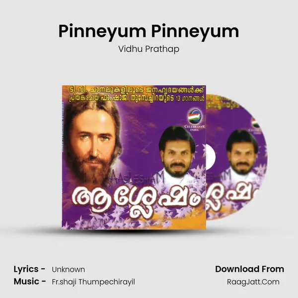 Pinneyum Pinneyum Song mp3 | Vidhu Prathap