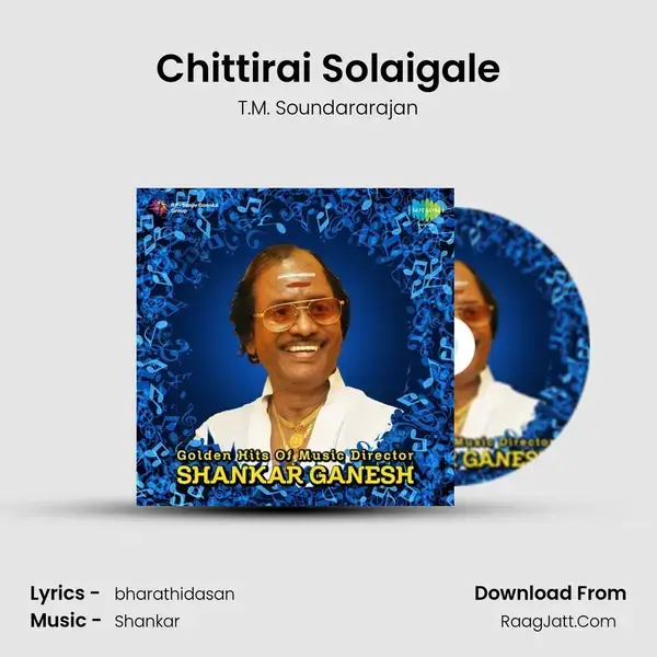 Chittirai Solaigale Song mp3 | T.M. Soundararajan