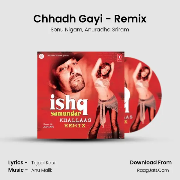 Chhadh Gayi - Remix Song mp3 | Sonu Nigam