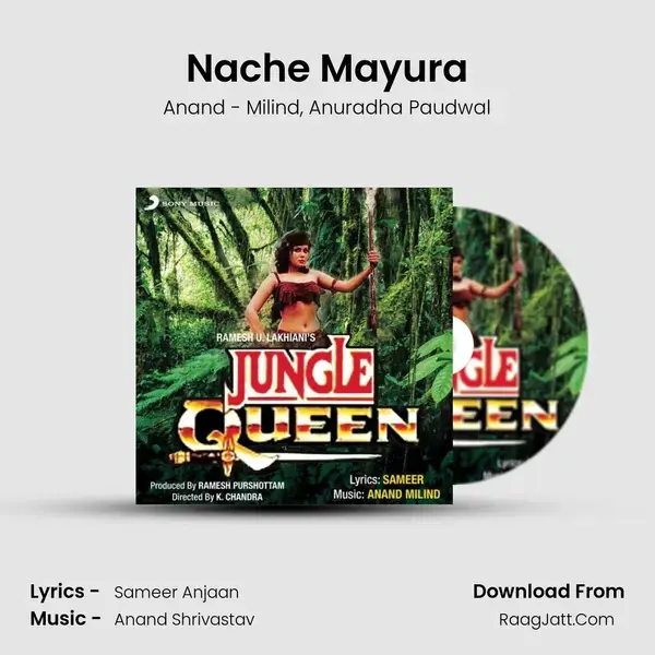 Nache Mayura Song mp3 | Anand - Milind