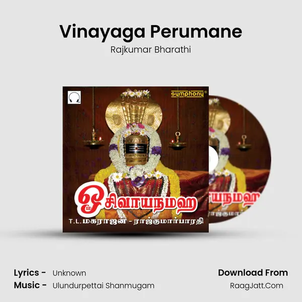 Vinayaga Perumane Song mp3 | Rajkumar Bharathi