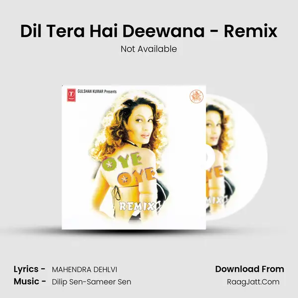 Dil Tera Hai Deewana - Remix Song mp3 | Not Available