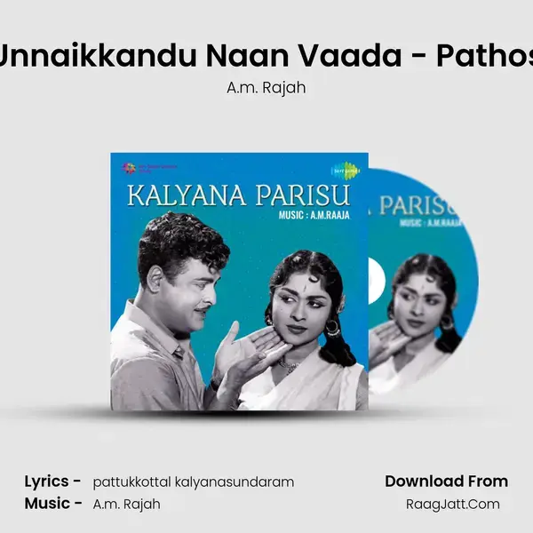 Unnaikkandu Naan Vaada - Pathos Song mp3 | A.m. Rajah