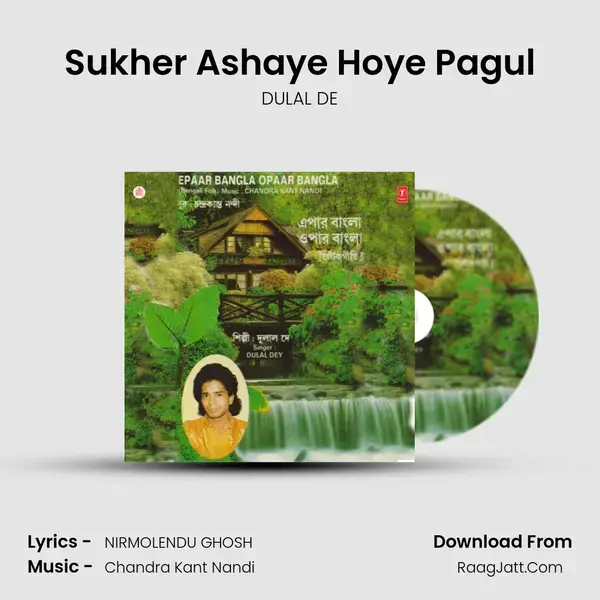 Sukher Ashaye Hoye Pagul mp3 song