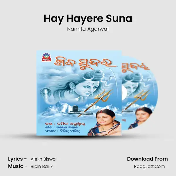 Hay Hayere Suna Song mp3 | Namita Agarwal