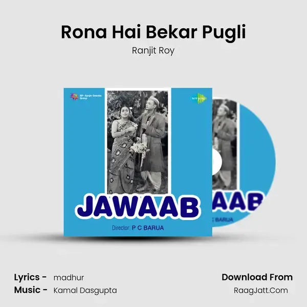 Rona Hai Bekar Pugli mp3 song